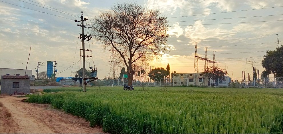 Virsa Singh